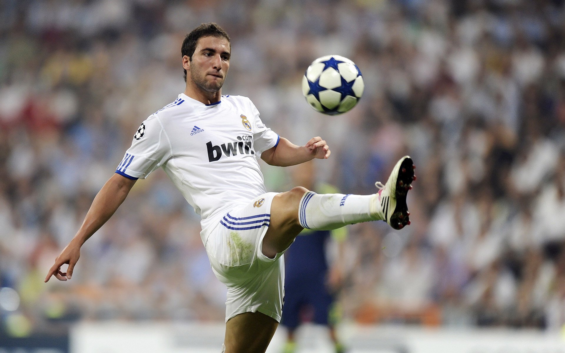 “球场趣味冷知识：你知道这些NBA冷门事？”，nba的冷知识